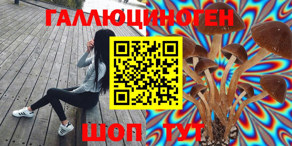 Галлюциногенные грибы GOLDEN TEACHER Избербаш