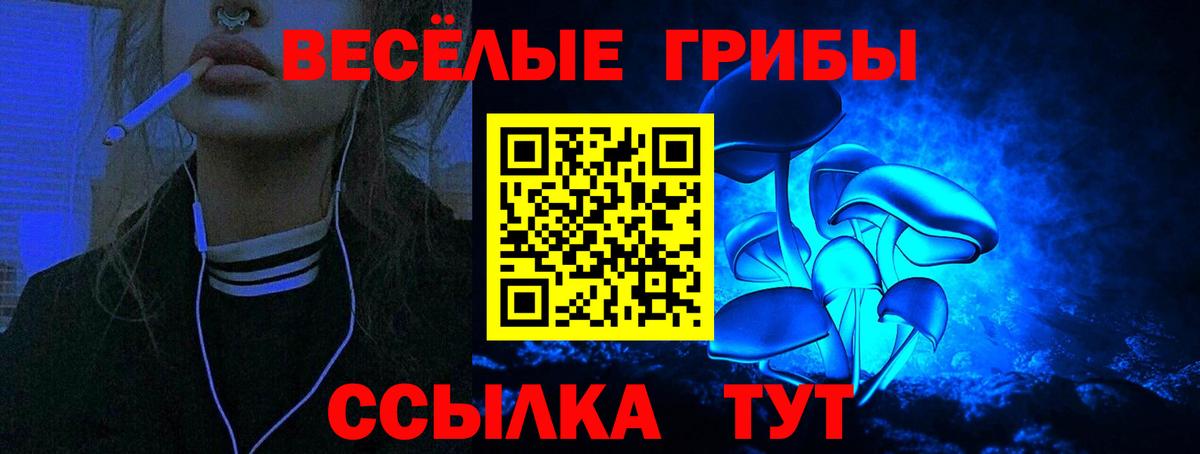 Псилоцибиновые грибы мухоморы  Галлюциногенные грибы мухоморы  Избербаш  закладка  Вход с VPN 